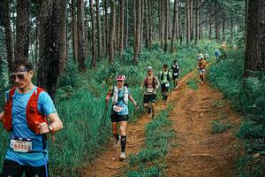 BIB: 
                            <button type="button" onclick="openModal(25658409)" class="btn btn-primary btn-sm float-right btn-popup" data-toggle="modal" data-target=".modal-high-quality">
                        <i class="fas fa-shopping-cart"></i> Add to Cart
                    </button>
                                            <button type="button" onclick="isThisMe(25658409, true)" class="btn btn-success btn-sm float-right btn-popup btn-isme hidden" data-toggle="tooltip" data-placement="bottom" title="นี่คือรูปของคุณใช่ไหม คลิกที่นี่เพื่อเอาเข้าอัลบั้ม">
                        <i class="fas fa-plus"></i> Add to album
                    </button>
                    <button type="button" onclick="isThisMe(25658409, false)" class="btn btn-warning btn-sm float-right btn-popup btn-isnotme hidden">
                        <i class="fas fa-ban"></i> Remove from album
                    </button>